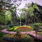 فضای سبز شهری و مناقصات در این حوزه