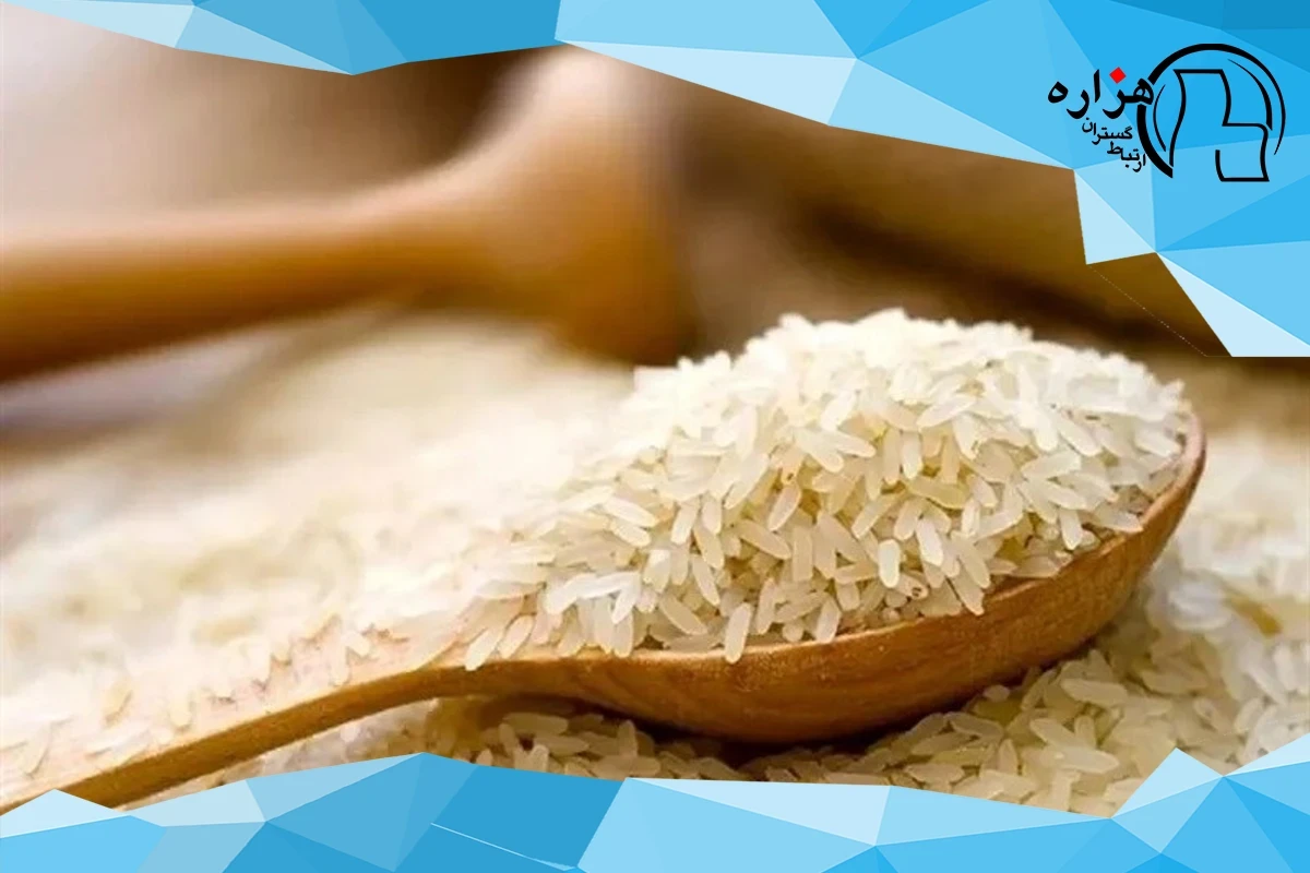 توزیع ۱۵۰ هزار تن برنج‌ هندی و پاکستانی در بازار با قیمت مصوب