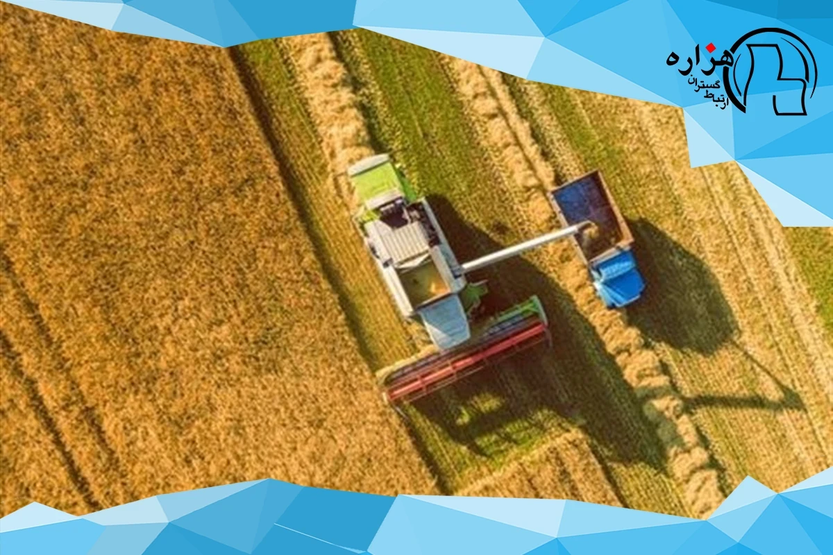 عدم توافق درباره نرخ خرید تضمینی گندم/ اختلاف قیمت ۱۰ هزار تومان