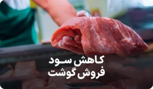 بررسی جامع سود فروش گوشت