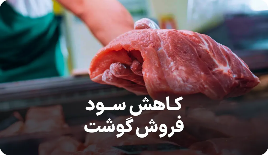بررسی جامع سود فروش گوشت